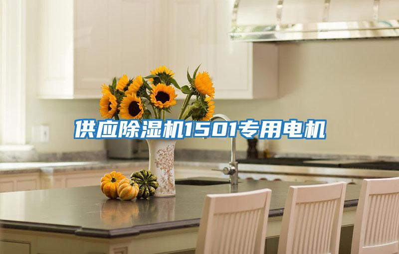 供應(yīng)除濕機(jī)1501專用電機(jī)