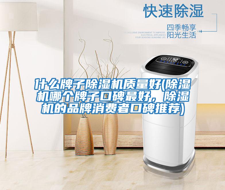 什么牌子除濕機質量好(除濕機哪個牌子口碑最好，除濕機的品牌消費者口碑推薦)