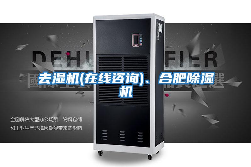 去濕機(在線咨詢)、合肥除濕機
