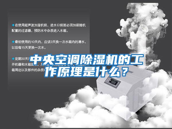 中央空調除濕機的工作原理是什么？