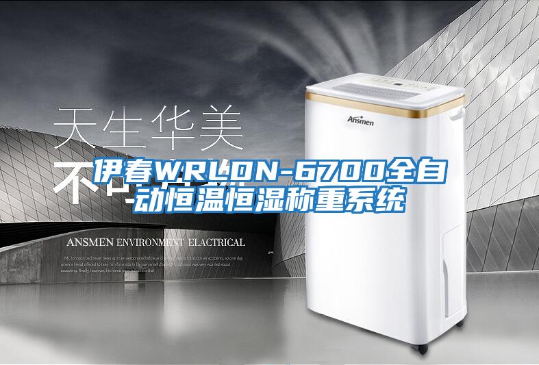 伊春WRLDN-6700全自動(dòng)恒溫恒濕稱重系統(tǒng)