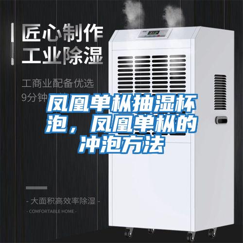 鳳凰單樅抽濕杯泡，鳳凰單樅的沖泡方法