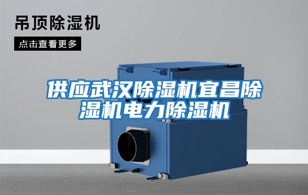 供應(yīng)武漢除濕機宜昌除濕機電力除濕機