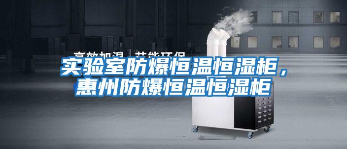 實驗室防爆恒溫恒濕柜，惠州防爆恒溫恒濕柜