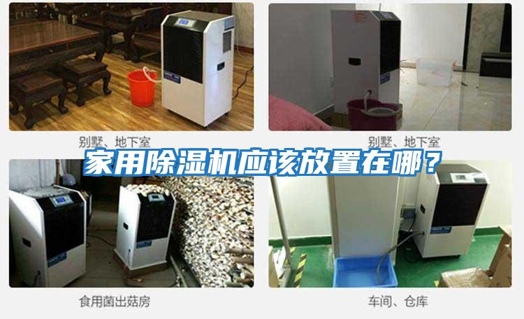 家用除濕機應該放置在哪？