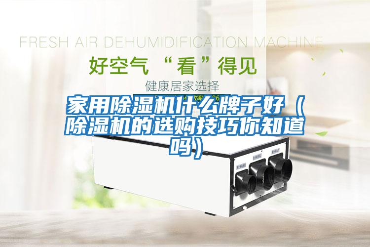 家用除濕機(jī)什么牌子好（除濕機(jī)的選購技巧你知道嗎）