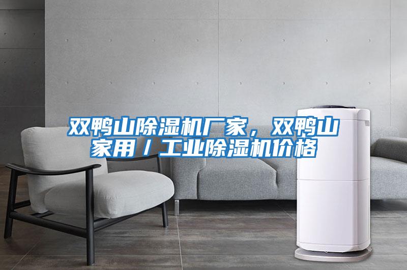 雙鴨山除濕機廠家，雙鴨山家用／工業除濕機價格
