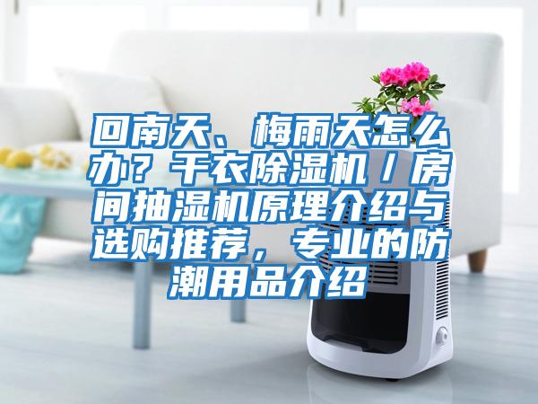 回南天、梅雨天怎么辦？干衣除濕機／房間抽濕機原理介紹與選購推薦，專業的防潮用品介紹