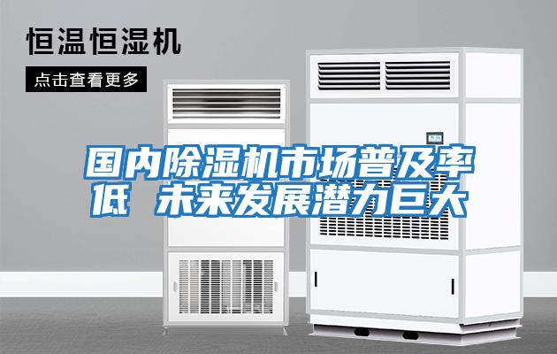 國內(nèi)除濕機(jī)市場(chǎng)普及率低 未來發(fā)展?jié)摿薮?></div>
								<div   id=