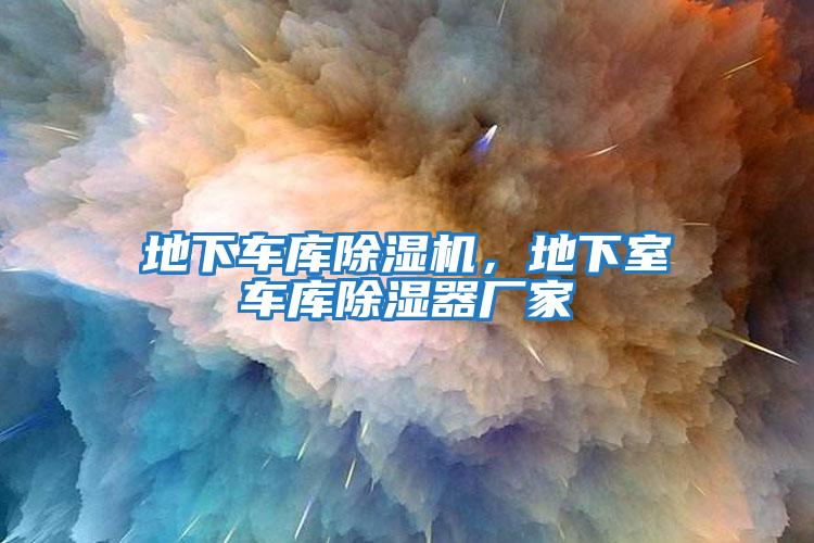 地下車庫除濕機，地下室車庫除濕器廠家