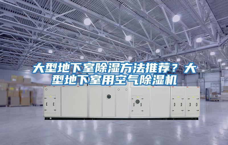 大型地下室除濕方法推薦？大型地下室用空氣除濕機