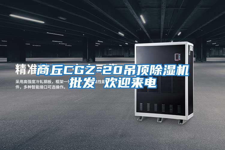商丘CGZ-20吊頂除濕機批發(fā) 歡迎來電