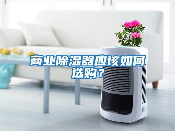 商業除濕器應該如何選購？