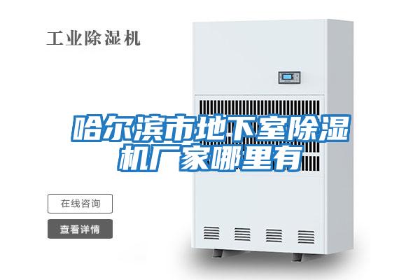 哈爾濱市地下室除濕機(jī)廠(chǎng)家哪里有