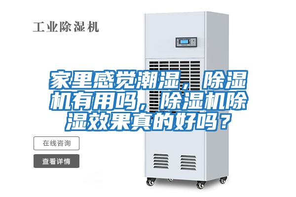 家里感覺潮濕，除濕機有用嗎，除濕機除濕效果真的好嗎？
