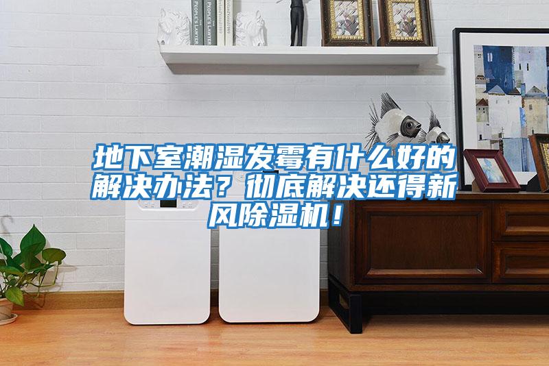 地下室潮濕發霉有什么好的解決辦法？徹底解決還得新風除濕機！