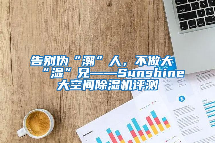 告別偽“潮”人，不做大“濕”兄——Sunshine大空間除濕機評測