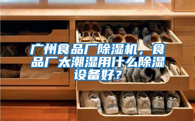 廣州食品廠除濕機，食品廠太潮濕用什么除濕設備好？