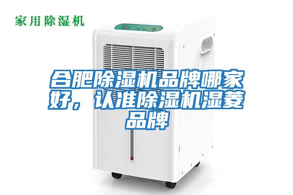 合肥除濕機品牌哪家好，認準除濕機濕菱品牌