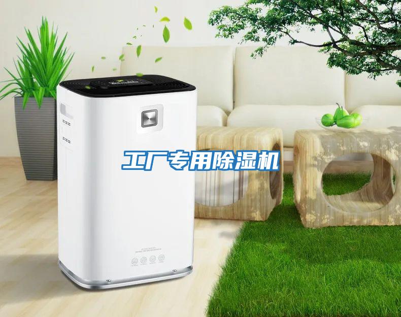 工廠專用除濕機(jī)