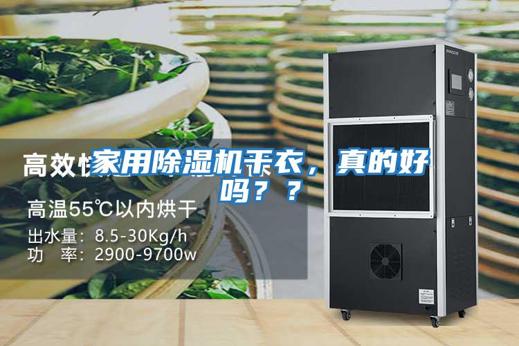 家用除濕機干衣，真的好嗎？？