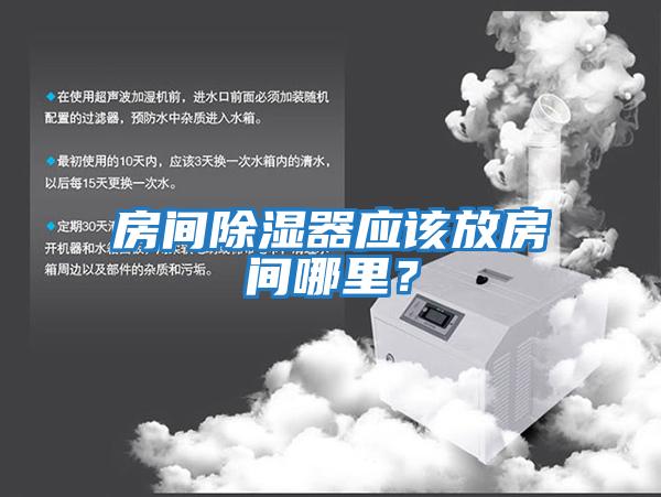 房間除濕器應該放房間哪里？