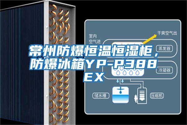 常州防爆恒溫恒濕柜，防爆冰箱YP-P388EX