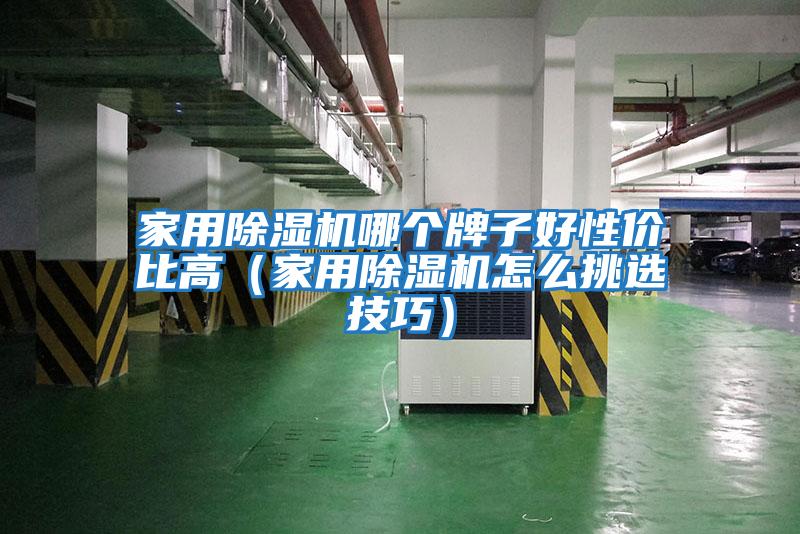 家用除濕機(jī)哪個(gè)牌子好性價(jià)比高（家用除濕機(jī)怎么挑選技巧）