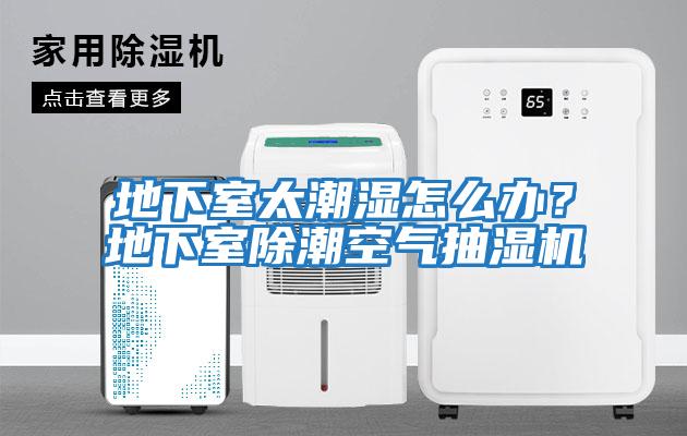 地下室太潮濕怎么辦？地下室除潮空氣抽濕機