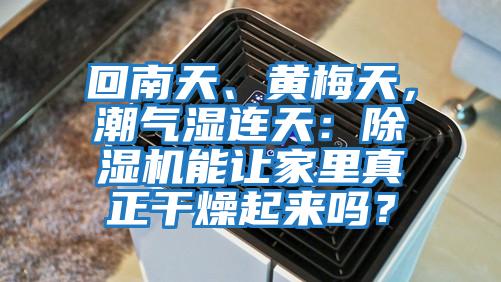 回南天、黃梅天，潮氣濕連天：除濕機(jī)能讓家里真正干燥起來嗎？