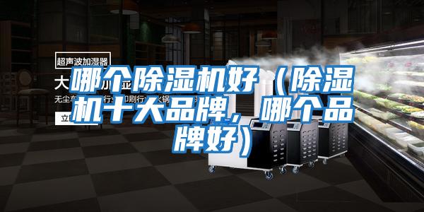 哪個除濕機好（除濕機十大品牌，哪個品牌好）