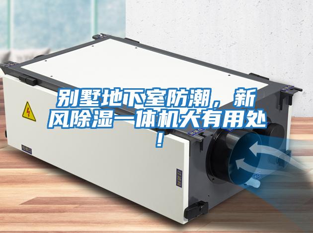 別墅地下室防潮，新風除濕一體機大有用處！