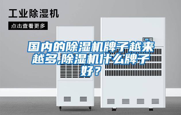國內(nèi)的除濕機(jī)牌子越來越多,除濕機(jī)什么牌子好？