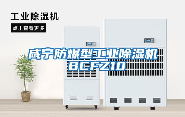 咸寧防爆型工業除濕機 BCFZ10