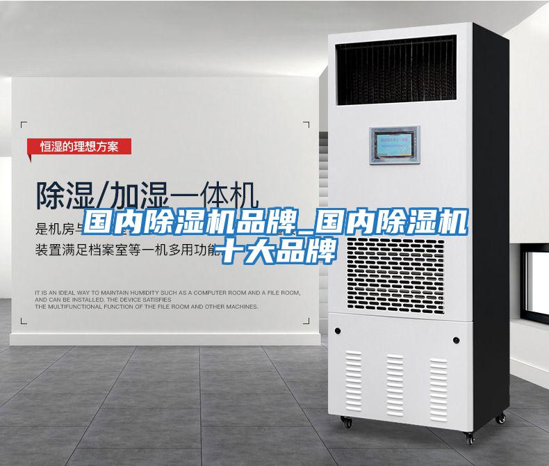 國(guó)內(nèi)除濕機(jī)品牌_國(guó)內(nèi)除濕機(jī)十大品牌