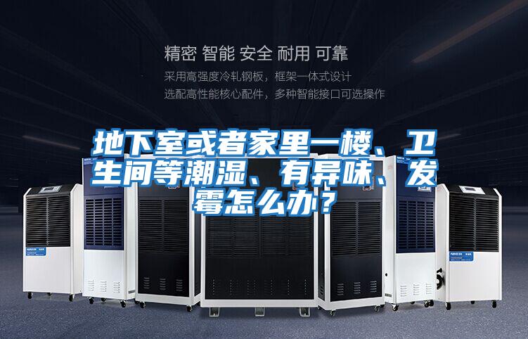 地下室或者家里一樓、衛生間等潮濕、有異味、發霉怎么辦？