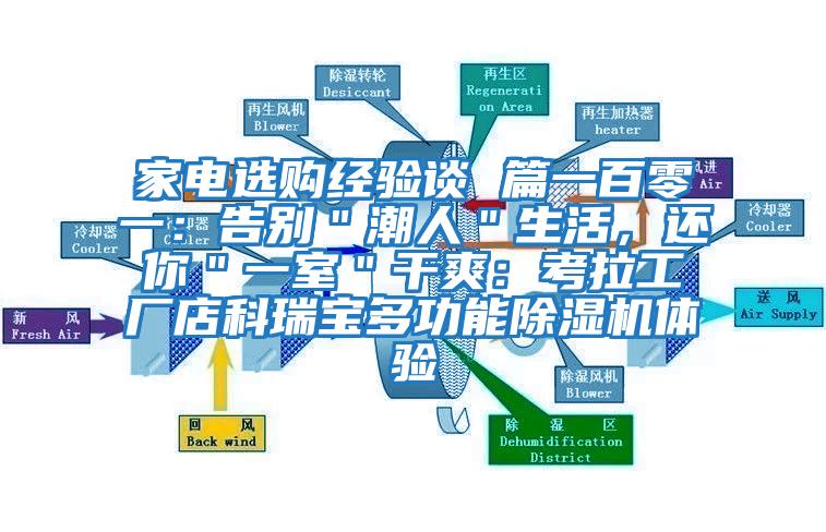 家電選購(gòu)經(jīng)驗(yàn)談 篇一百零一：告別＂潮人＂生活，還你＂一室＂干爽：考拉工廠店科瑞寶多功能除濕機(jī)體驗(yàn)
