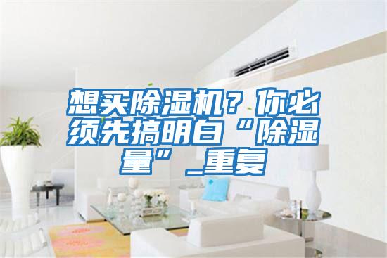 想買除濕機？你必須先搞明白“除濕量”_重復