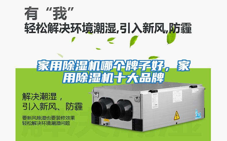 家用除濕機(jī)哪個牌子好，家用除濕機(jī)十大品牌