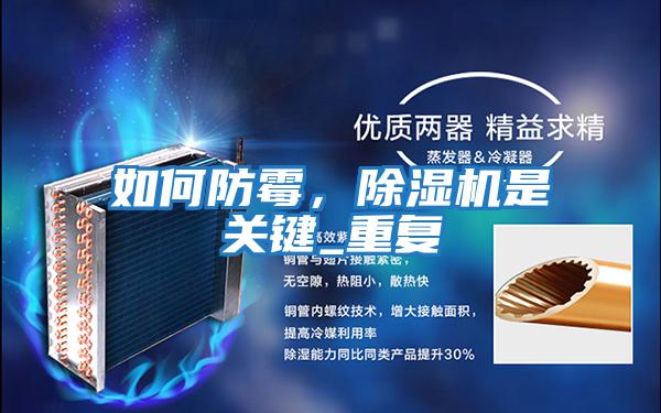 如何防霉，除濕機是關鍵_重復