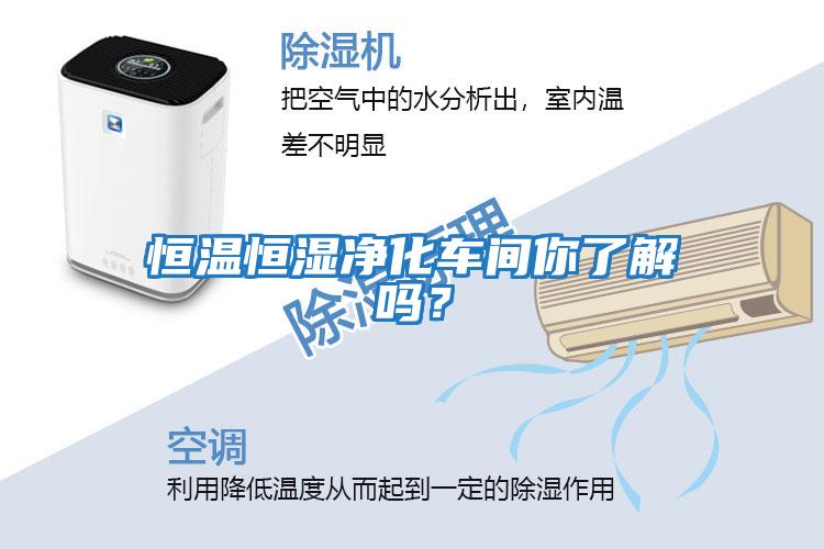 恒溫恒濕凈化車間你了解嗎？
