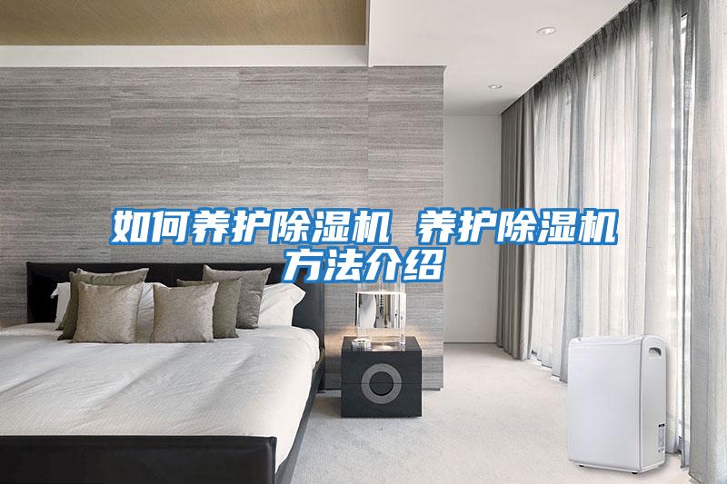 如何養護除濕機 養護除濕機方法介紹