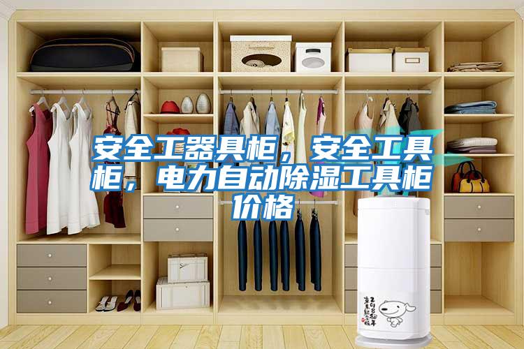 安全工器具柜，安全工具柜，電力自動除濕工具柜價(jià)格