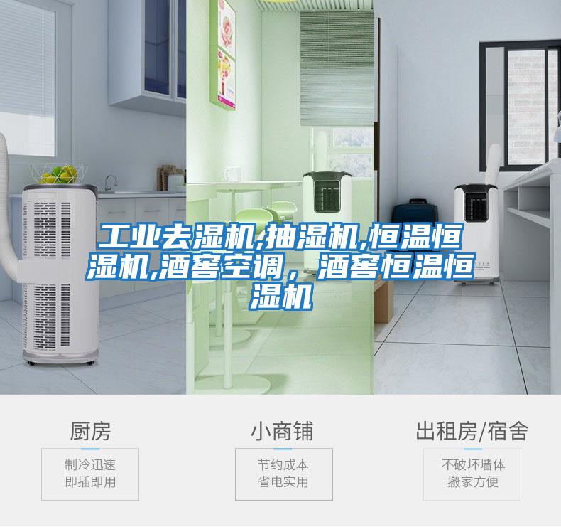 工業去濕機,抽濕機,恒溫恒濕機,酒窖空調，酒窖恒溫恒濕機