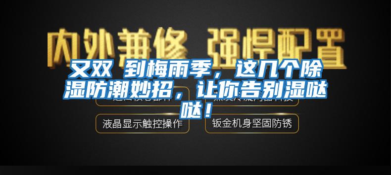 又雙叒到梅雨季，這幾個(gè)除濕防潮妙招，讓你告別濕噠噠！