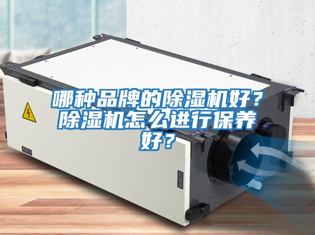 哪種品牌的除濕機(jī)好？除濕機(jī)怎么進(jìn)行保養(yǎng)好？