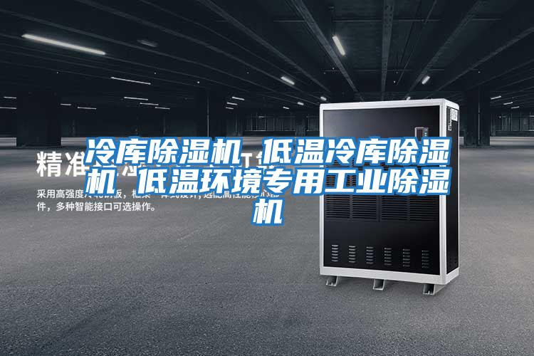 冷庫(kù)除濕機(jī) 低溫冷庫(kù)除濕機(jī) 低溫環(huán)境專用工業(yè)除濕機(jī)