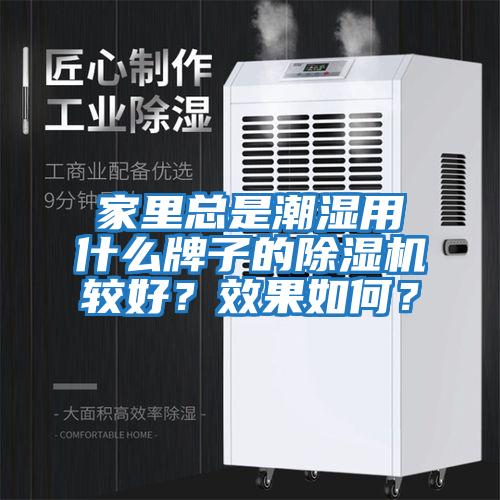 家里總是潮濕用什么牌子的除濕機較好？效果如何？