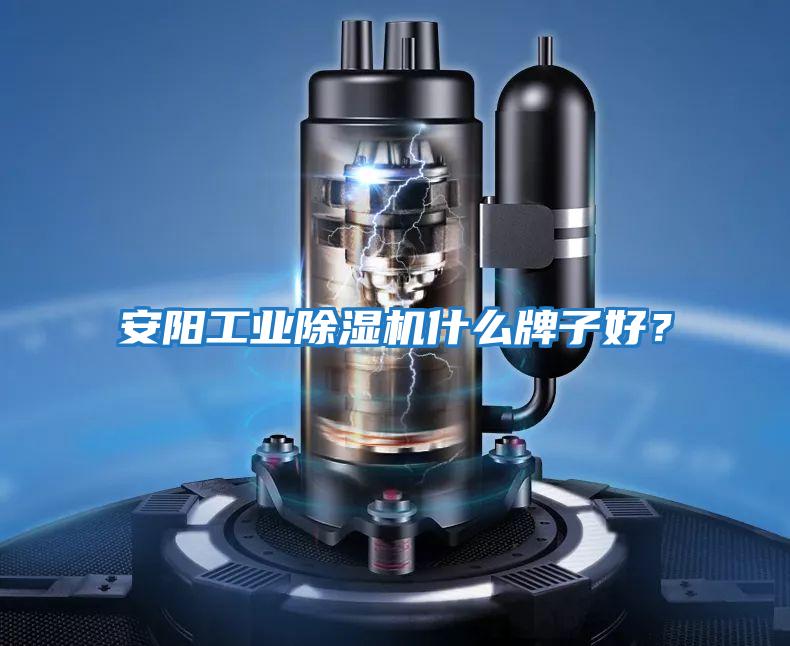 安陽(yáng)工業(yè)除濕機(jī)什么牌子好？