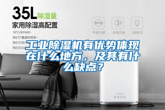 工業(yè)除濕機(jī)有優(yōu)勢(shì)體現(xiàn)在什么地方，及其有什么缺點(diǎn)？